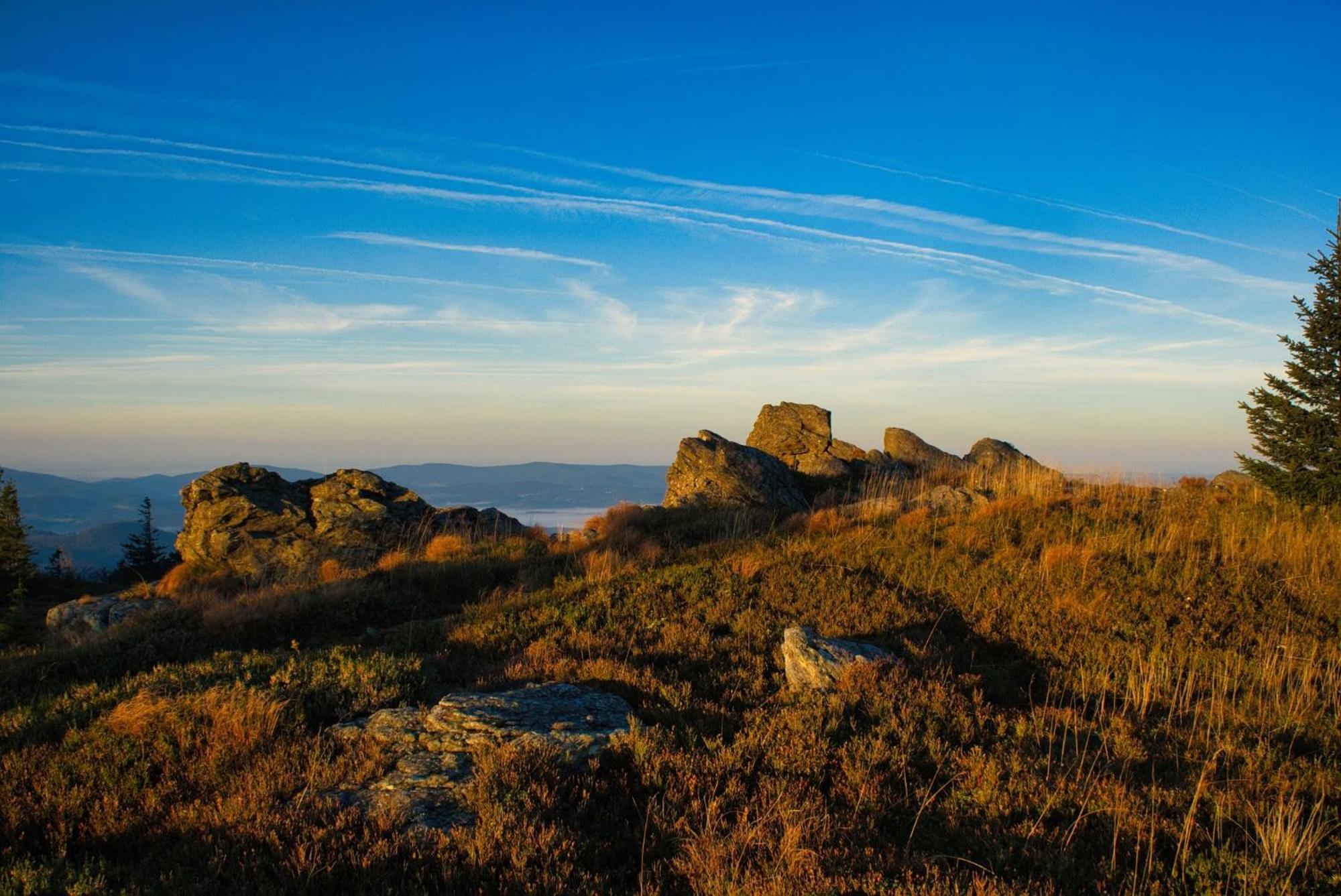 Waidlerland Waldkirchen Chalets エクステリア 写真